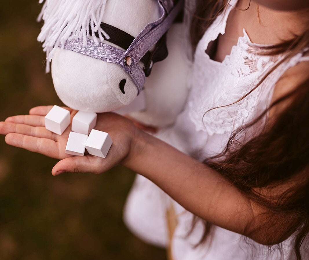 Unicorn Hoorn En Halter Lila (ZONDER stokpaard enkel halter)