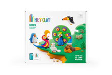 Afbeelding in Gallery-weergave laden, Hey Clay • Pack • Birds
